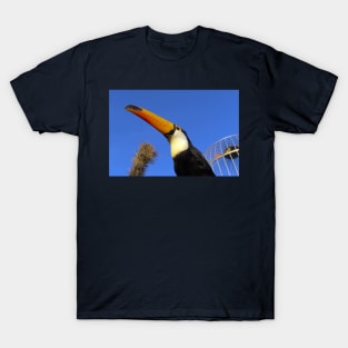 Hornbill T-Shirt